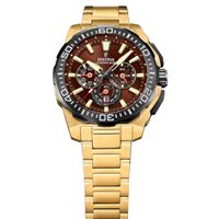 Orologio Festina Uomo in Acciaio placcato oro giallo F20727/3 - F20727/3
